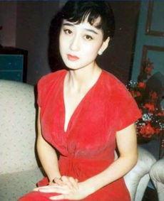 李连杰老婆利智照片  第3张