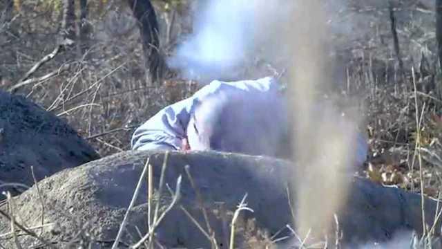 雪豹拍摄花絮视频,拍摄花絮中的精彩瞬间  第3张