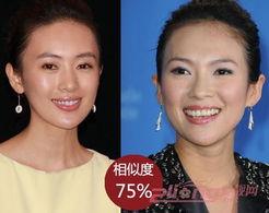 明星的相似度,探寻娱乐圈中的“双胞胎面孔”  第1张