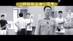 沪剧杨梅个人资料,沪剧舞台上的一抹亮丽风采  第2张