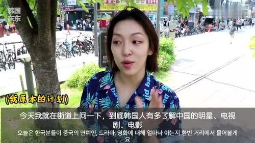 韩国人看中国明星视频,魅力与风采的碰撞 第2张 韩国人看中国明星视频,魅力与风采的碰撞 第2张