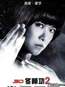 拳霸2演员表,众星云集，演绎热血江湖传奇  第3张