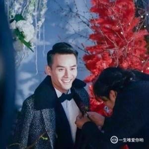 王凯资料详细资料大全,影视巨星的多面人生与辉煌成就