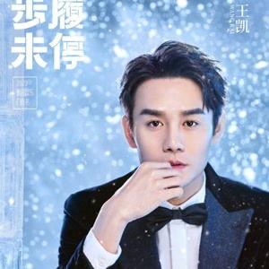 王凯资料详细资料大全,影视巨星的多面人生与辉煌成就 第2张 王凯资料详细资料大全,影视巨星的多面人生与辉煌成就 第2张