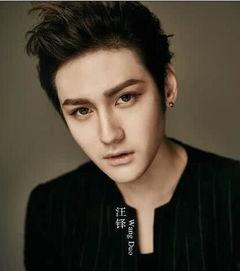 汪铎的个人资料,才华横溢的青年才俊，多领域成就斐然