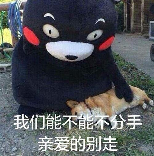 迷妹登场表情包,迷妹登场表情包魅力解析