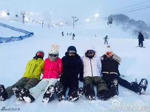 明星去的滑雪,滑向冰雪世界的璀璨瞬间  第3张