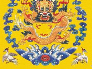 五龙资料,引领绿色出行新潮流